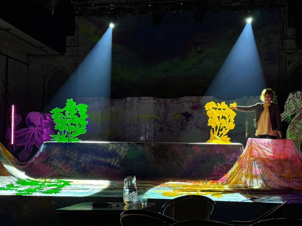 სცენის დეკორაცია. Updated 2026 (10)